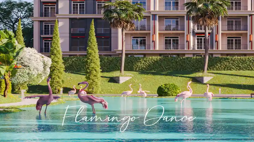 كمبوند ريدي سيتي التجمع الخامس Reedy City New Cairo