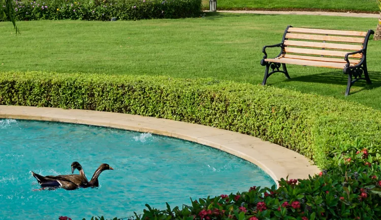 أسعار كمبوند ريجنتس سكوير التجمع الخامس Compound Regents Square New Cairo